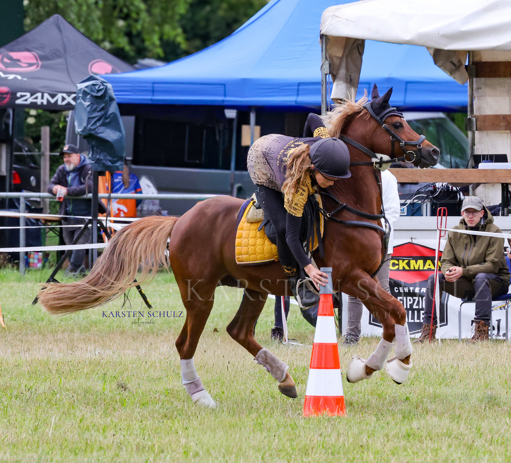 1B3A1571 | Reitsport Reiten