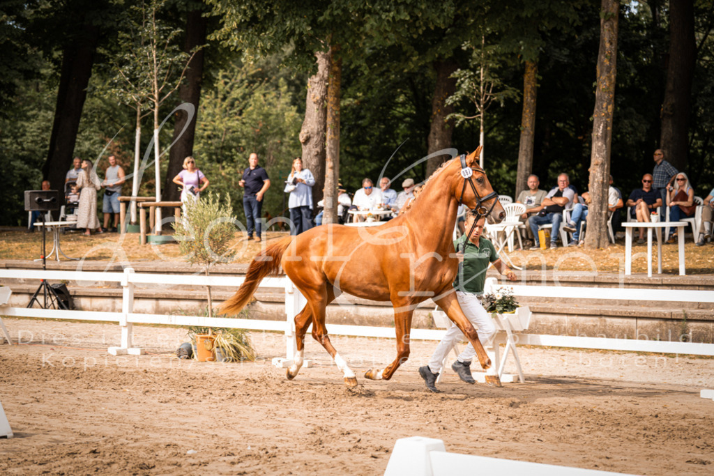 7.Fr00048 | Leoni Ertmer Photography - Realisiert mit Pictrs.com