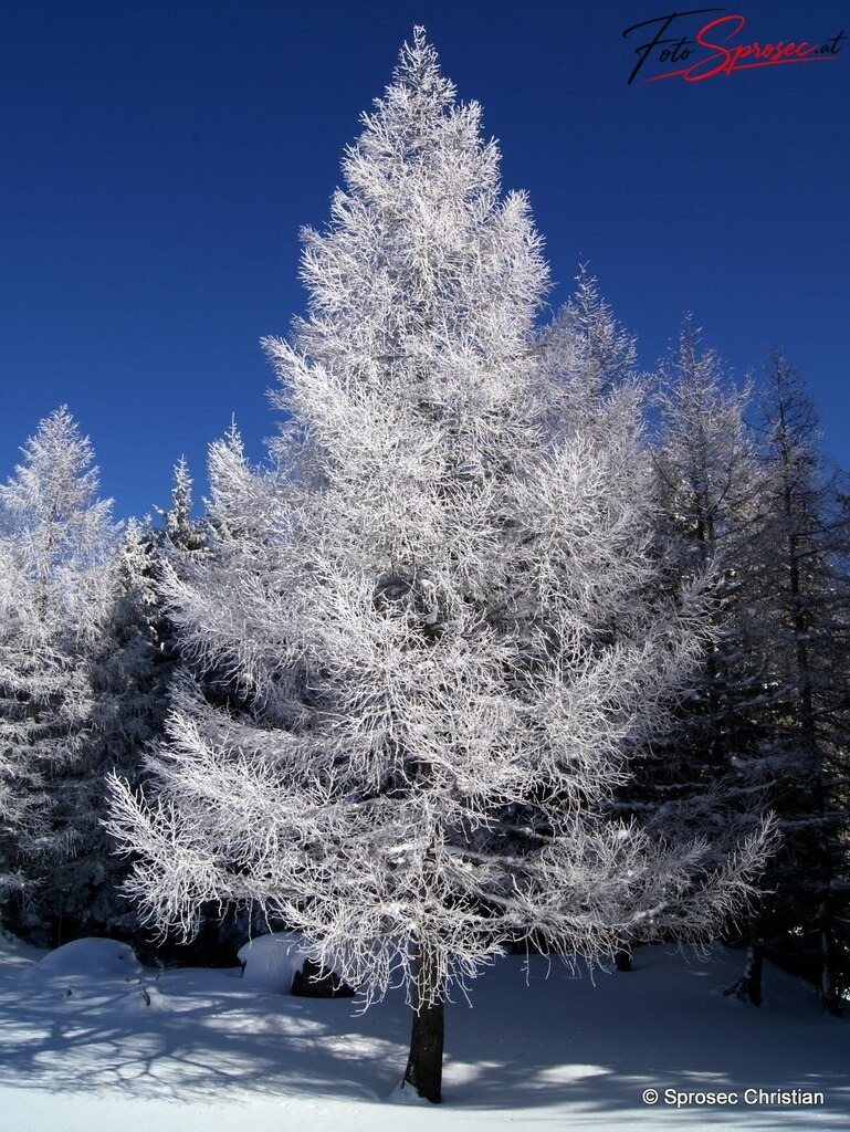 seeberg (9) | Gesehen am Seeberg Pass im Winter 2010/11 - Realisiert mit Pictrs.com