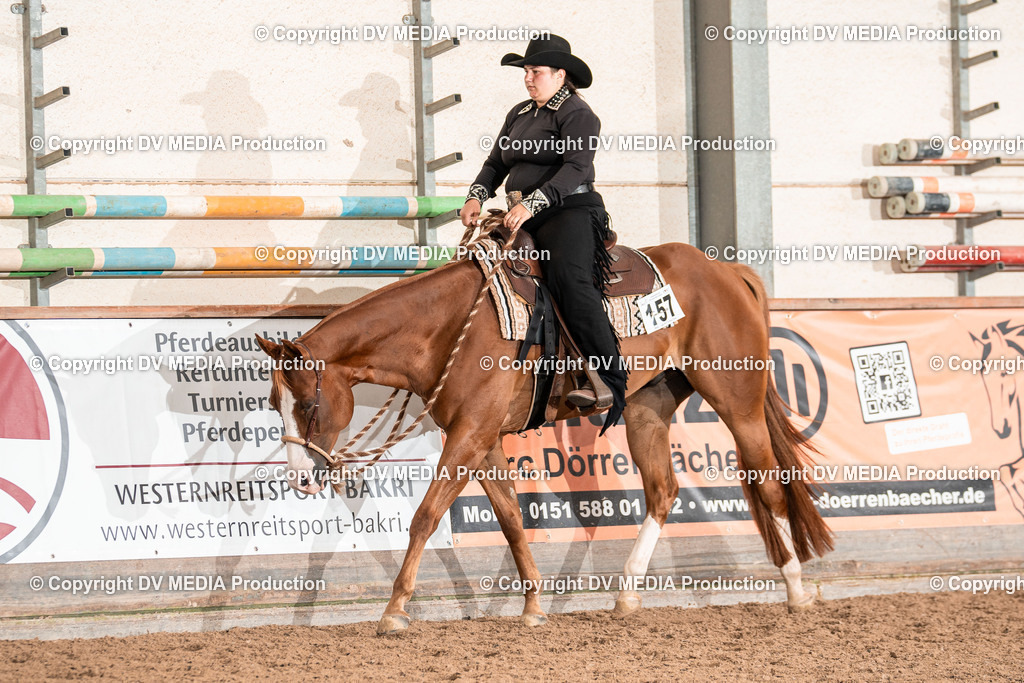 LM Heiligenwald Tag 2-1176 | dv-media-shop - Realisiert mit Pictrs.com