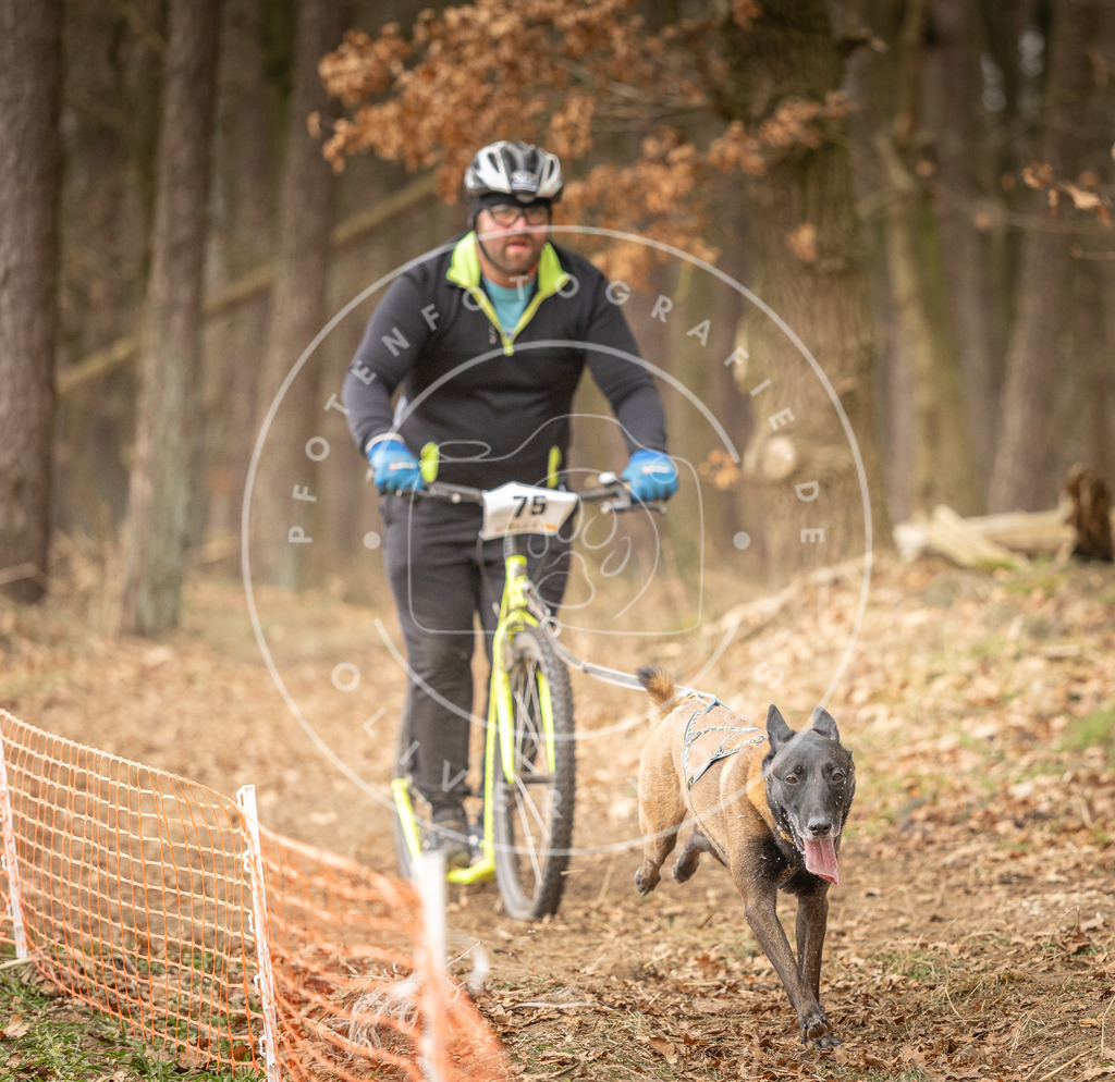 Pfotenfotografie_DV3A4228 | Hundefotografie, Tierfotograf, Pfotenfotografie, Fotoshooting Hund, Hunde Portrait, Hundesport, Hundeportraits, Heideshooting, Hunde, Sportfotograf, Hundefotograf, Turnierhundsport, THS,  - Realisiert mit Pictrs.com