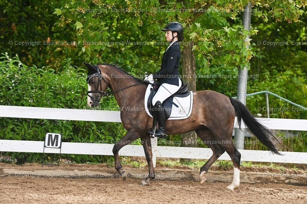 20230716_10-1_Reiter-WB Schritt - Trab - Galopp_0174 | equistock