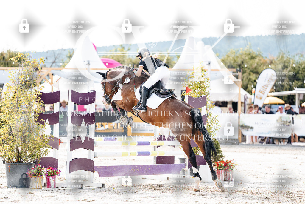 CK905768 | Turnierfotografie Pferdefotografie Trier Rheinland-Pfalz Pferdesport Reitsport Tierfotografie Sportfotografie Pferdevideo Pferdevideografie Equestrianvideography equestrianphotography  - Realisiert mit Pictrs.com