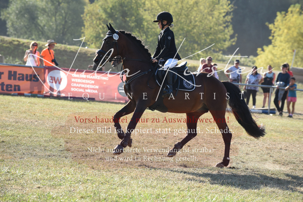DSC_5574 | Pferde- und Turnierfotografie in Westsachsen. Pferdeportraits, Auftragszeichnungen und intuitive Kunst.