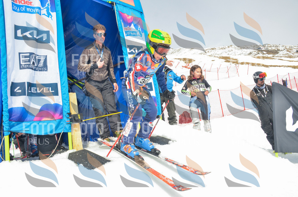 _ELE8280 | holidayphoto