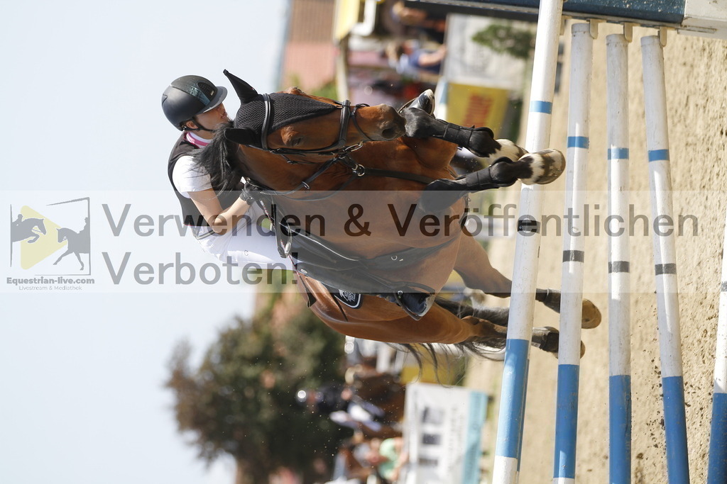 _MG_2716 | equestrian-live-com