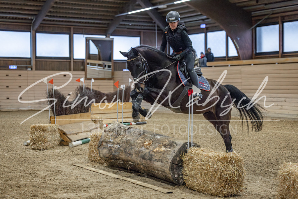 20260221-_3LI8393 | Tierfotografie Pferde, Hunde, Katzen, Haustiere.
Turnierfotografie Reitturniere, Reiten, Springreiten, Dressur in Hanau, dem Main-Kinzig-Kreis und dem Rhein-Main- Gebiet um Frankfurt