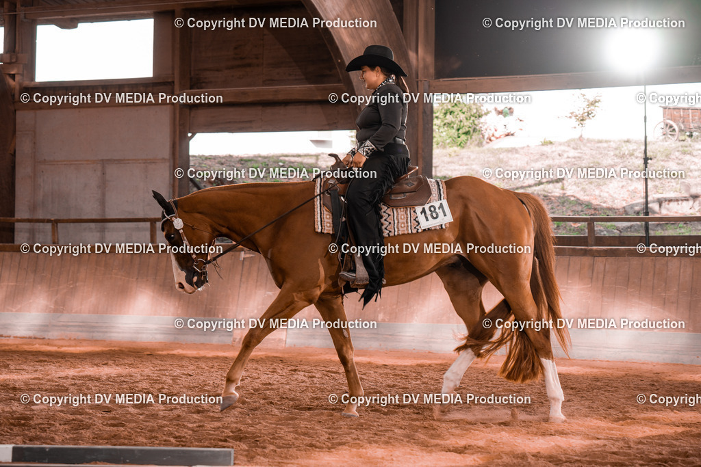 NE200149 | dv-media-shop - Realisiert mit Pictrs.com