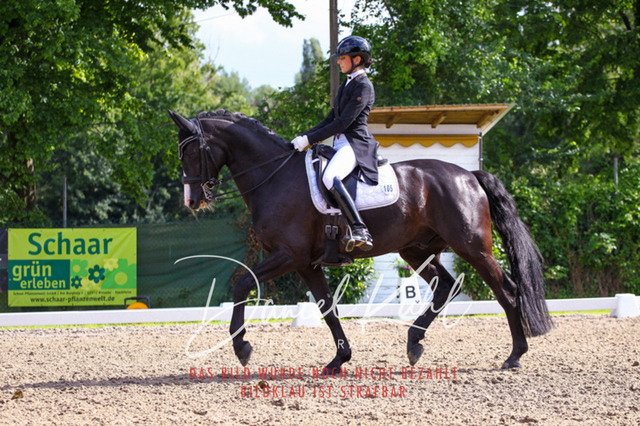 DKP41518 | Turnierfotos kaufen im Webshop von Daniel Kuhl Photography – entdecke professionelle Reitsportfotos aus Turnieren & Events. Hochwertige Turnierbilder online bestellen & sichern. Jetzt Fotos von Reitsportturnieren kaufen!