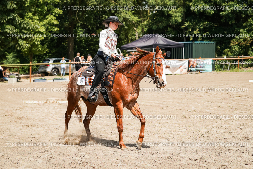 DSC07734 | Pferdegrafie