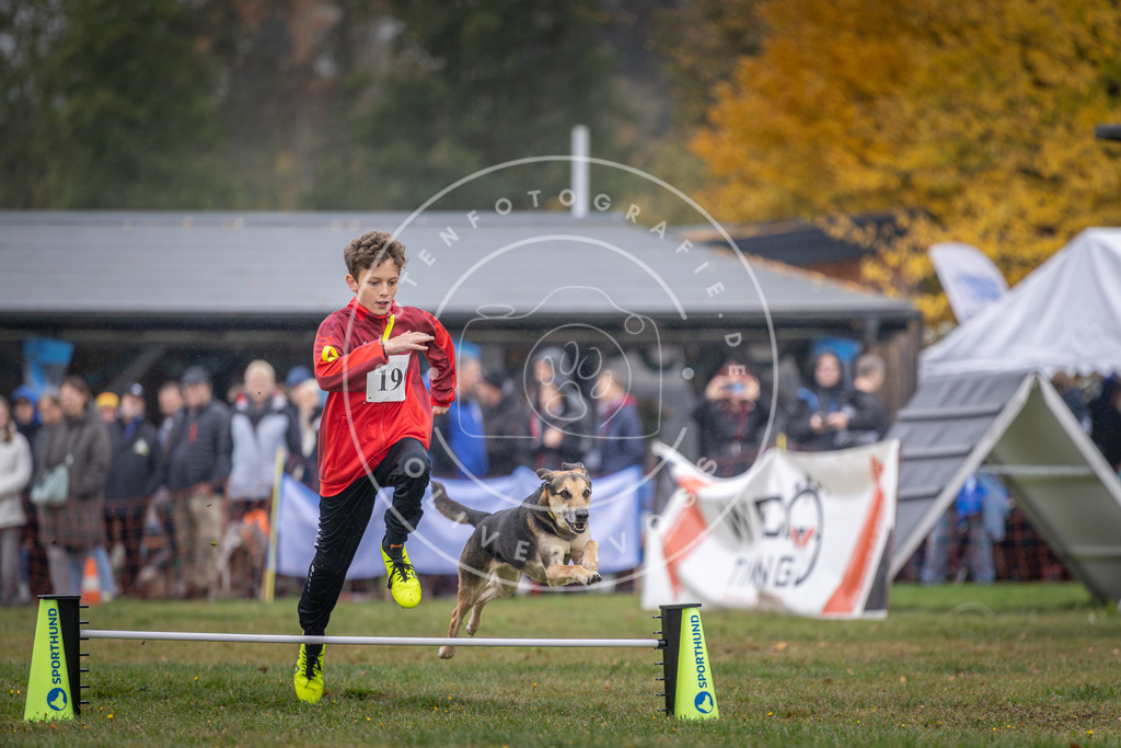 Pfotenfotografie_DV3A9885 | Hundefotografie, Tierfotograf, Pfotenfotografie, Fotoshooting Hund, Hunde Portrait, Hundesport, Hundeportraits, Heideshooting, Hunde, Sportfotograf, Hundefotograf, Turnierhundsport, THS,  - Realisiert mit Pictrs.com