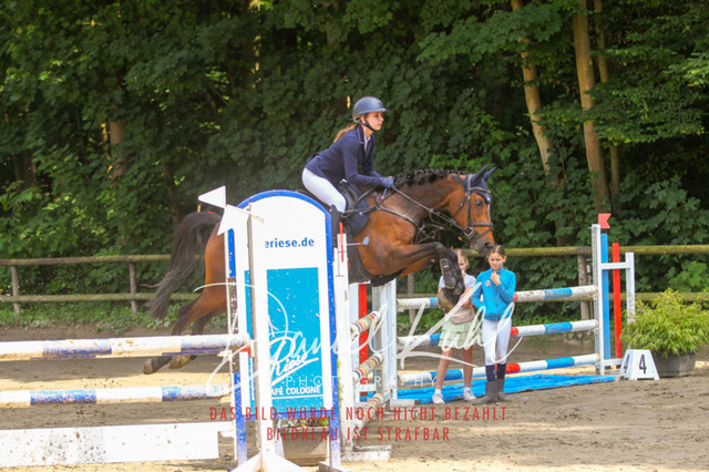 DKP45094 | Turniersportfotografie; Pferdefotografie; Dressurfotografie