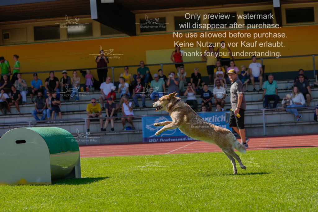 Sonntag_VK Hindernis (527 von 671) | stephaniefillaphotographie - Realisiert mit Pictrs.com