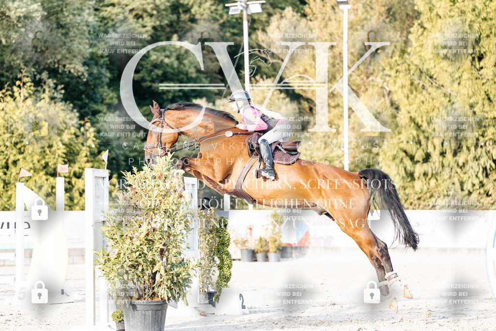 CK903597 | Turnierfotografie Pferdefotografie Trier Rheinland-Pfalz Pferdesport Reitsport Tierfotografie Sportfotografie Pferdevideo Pferdevideografie Equestrianvideography equestrianphotography  - Realisiert mit Pictrs.com