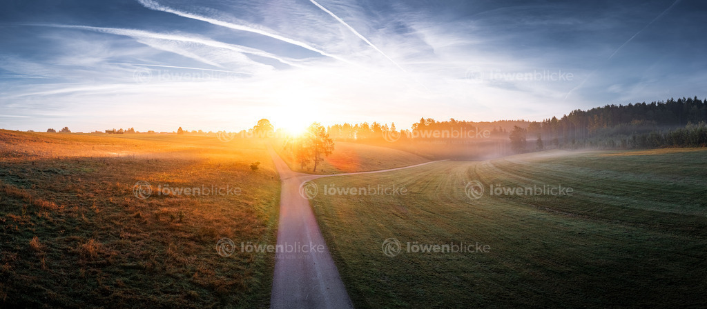 Wanderwege bei Gussenstadt im Nebel | löwenblicke | shop