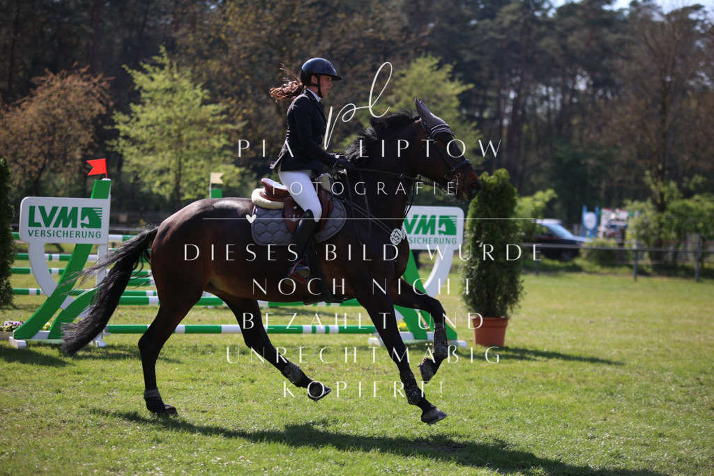 IMGT6054 | pl-fotografie