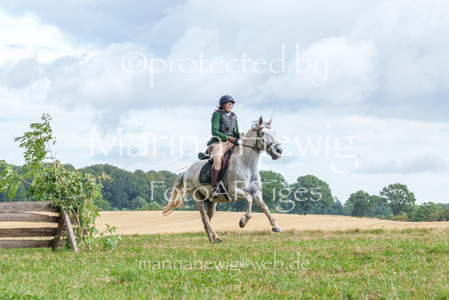 Jagd Knoop 26_MarinaHewigMCH02603 | Fotografie, FotoArt, PferdesportArt, Pferdesportfotografie, Landschaftsfotografie, Reisefotografie, Reise, Pferde - Realisiert mit Pictrs.com