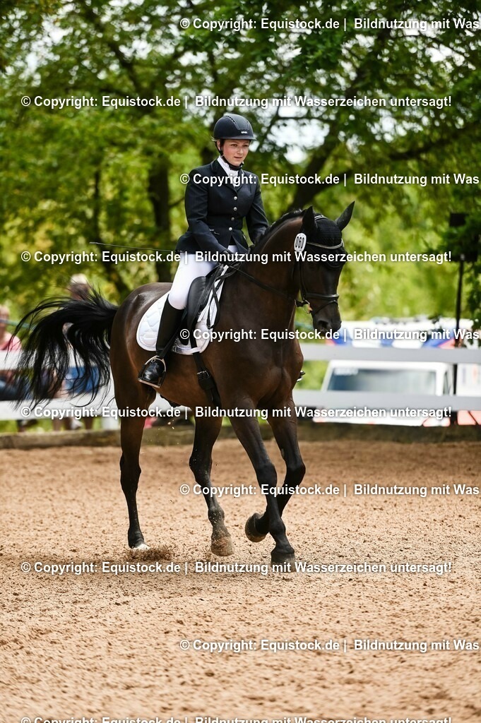 20230716_03_Dressurprfg. Kl.L - Tr._0355 | equistock