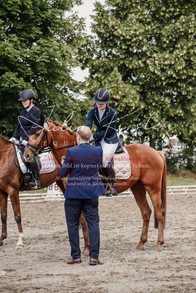DSC_9356 | Pferde- und Turnierfotografie in Westsachsen. Pferdeportraits, Auftragszeichnungen und intuitive Kunst.