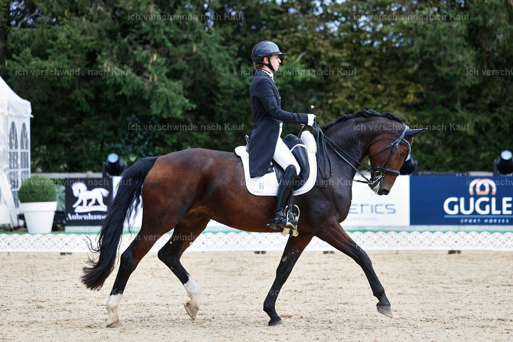 8_1-099-Klasse S_  -StoibPH-3865 | working equitationturnier fotograf videograf stoibphotography marixx film working equitation deutschland reitsport turnierfotografie eventfotografie equestrian events