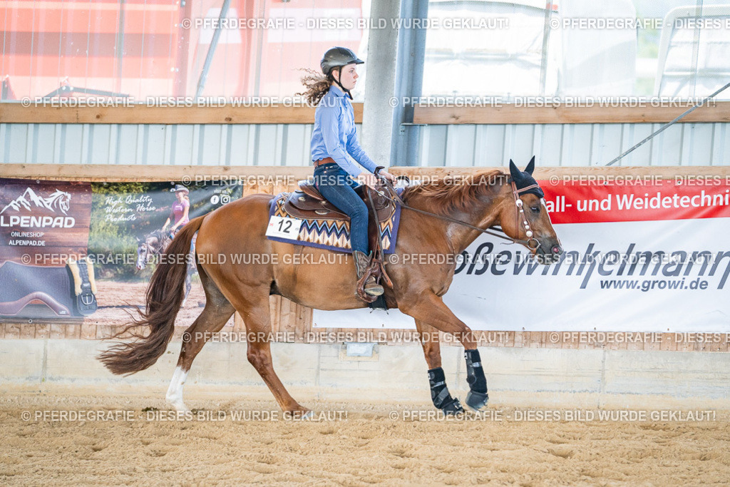 DSC03686 | Pferdegrafie