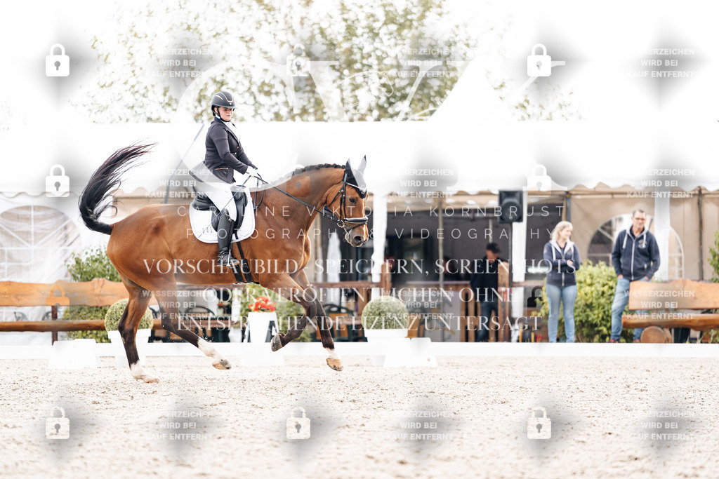 CK900785 | Turnierfotografie Pferdefotografie Trier Rheinland-Pfalz Pferdesport Reitsport Tierfotografie Sportfotografie Pferdevideo Pferdevideografie Equestrianvideography equestrianphotography  - Realisiert mit Pictrs.com