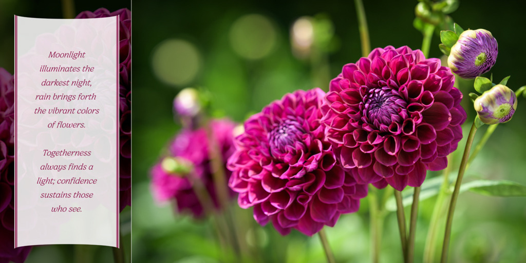 Sensual, Dahlia Hapet Nightdream | The wine-red ornamental dahlia “Hapet Nightdream” against a background of green specks of light. On the left are sensual lines I wrote that can offer a little hope every day. — Original resolution: 11008 x 5504 px. - Realisiert mit Pictrs.com