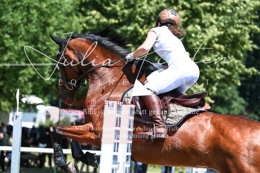 DSC_0393 | Pferde- und Turnierfotografie in Westsachsen. Pferdeportraits, Auftragszeichnungen und intuitive Kunst.