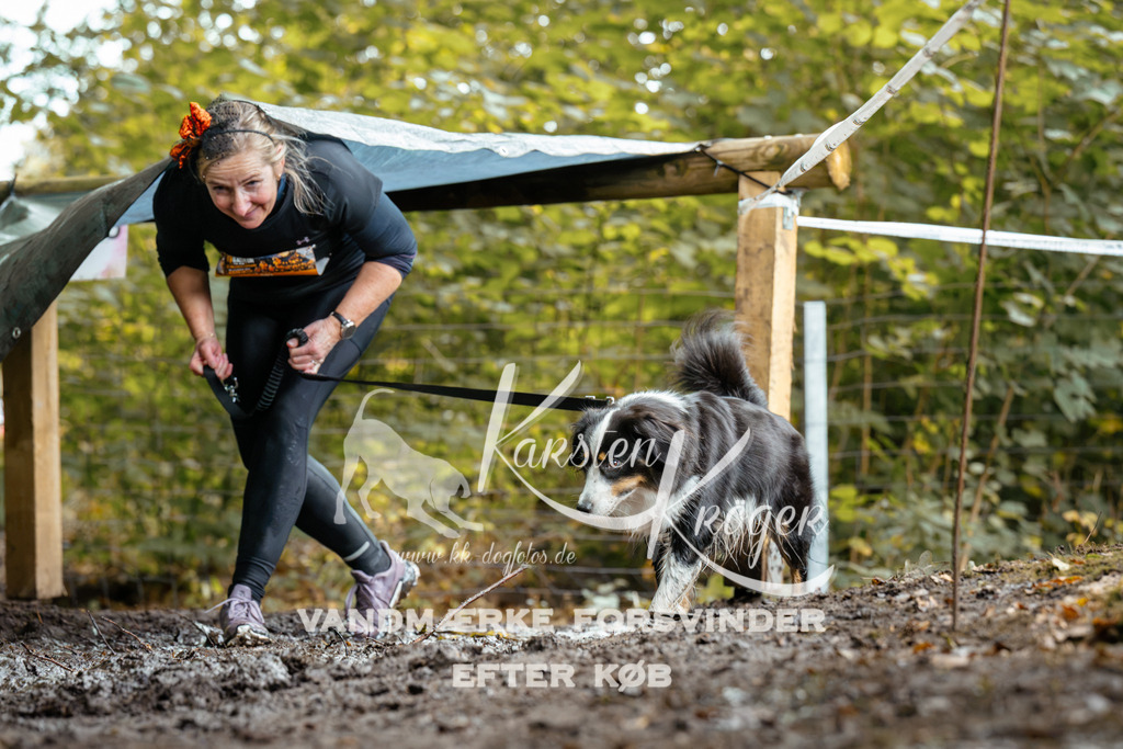 1427DZ6_2163Z6 | kk-dogfotos