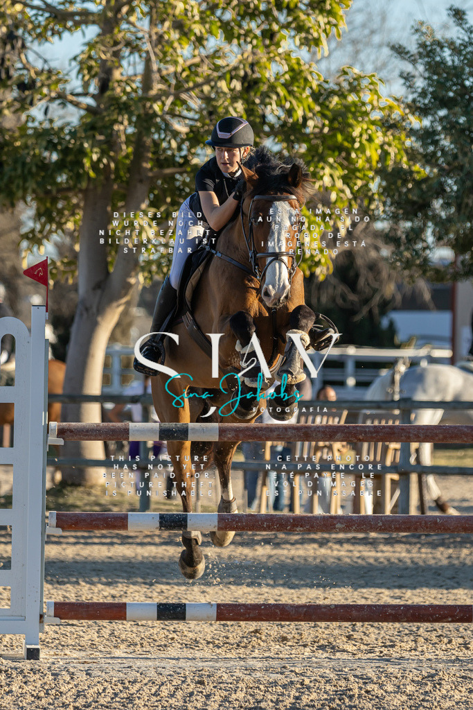 IMG_2695 | s-jay-photography - Realisiert mit Pictrs.com