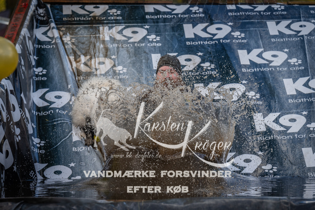 1547_ZZ90701 | kk-dogfotos