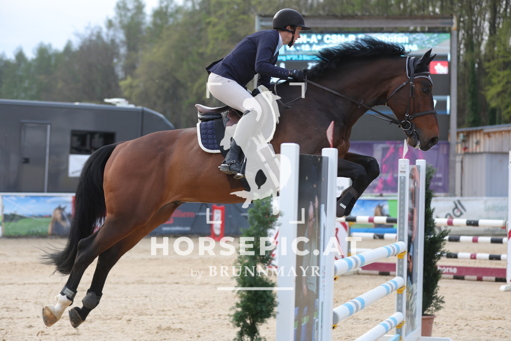 0P6A2875 | Willkommen bei Brunnmayr - Design & Fotografie – Ihrem Spezialisten für Reitturniere und Pferdeveranstaltungen in Oberösterreich, Salzburg und Bayern! Seit über 17 Jahren sind wir leidenschaftlich dabei.