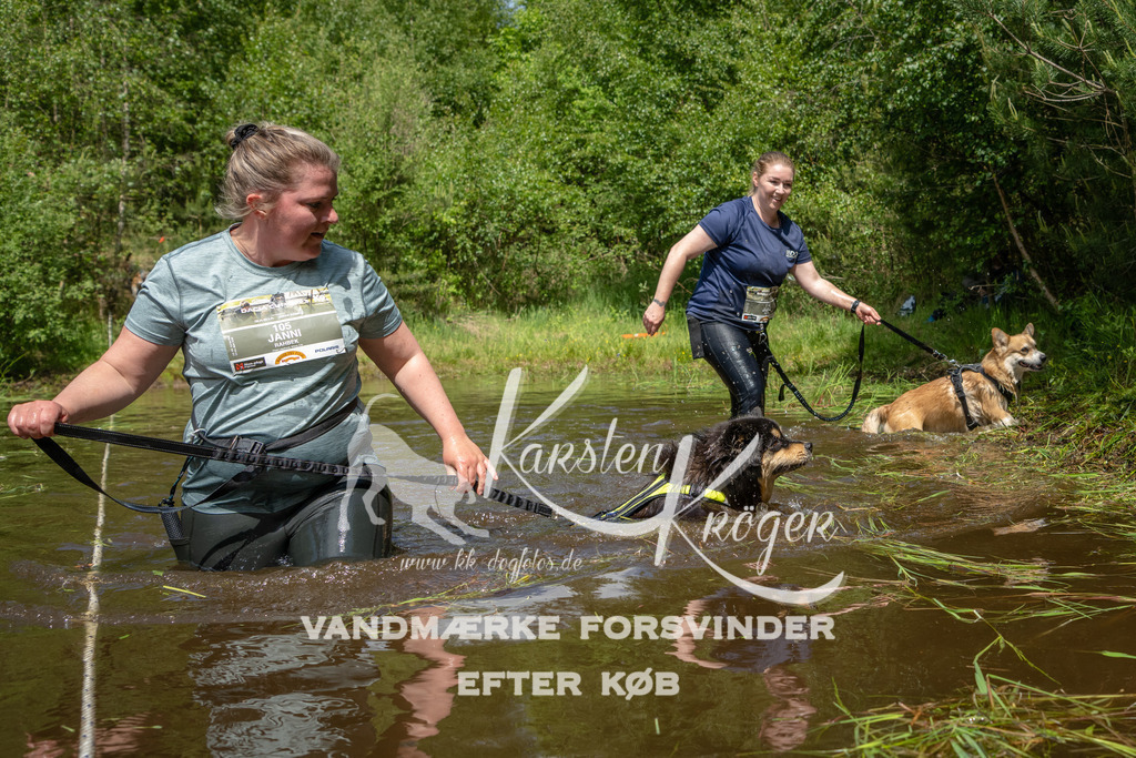 1216DKK992367 | kk-dogfotos