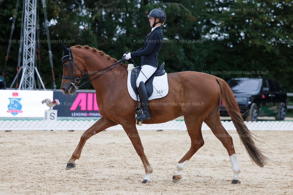 04_2-064-Dressur M__ -StoibPH-2988 | working equitationturnier fotograf videograf stoibphotography marixx film working equitation deutschland reitsport turnierfotografie eventfotografie equestrian events