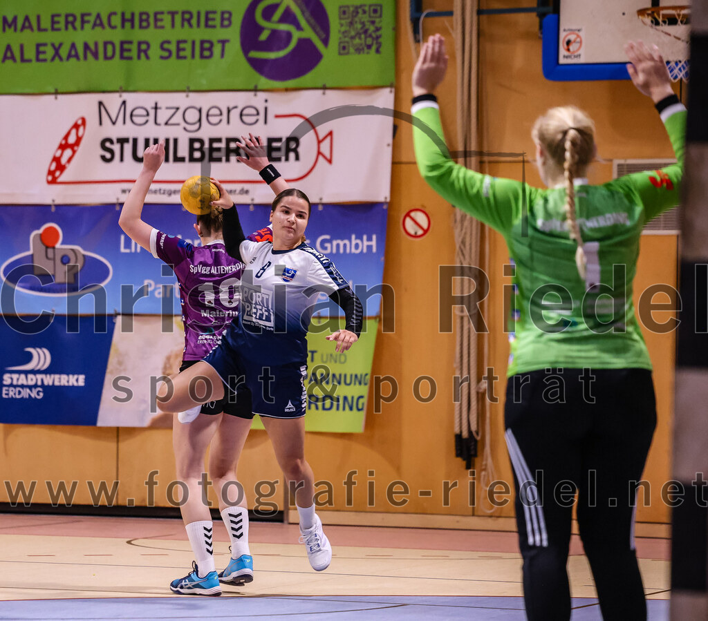 2024-11-24_040_SpVgg_Altenerding_gegen_HC_Donau-Paar_II | Erding, Deutschland, 24.11.2024:Handball, Bezirksoberliga Frauen Altbayern 2024 / 2024, 6. Spieltag, SpVgg Altenerding gegen HC Donau/Paar II, Endergebnis: 24:24Line Sophie Malerius (SpVgg Altenerding, #10), Emely Otto (HC Donau/Paar, #8), Torfrau Hanna Obermair (SpVgg Altenerding, #1)Foto: Christian Riedel / fotografie-riedel.net