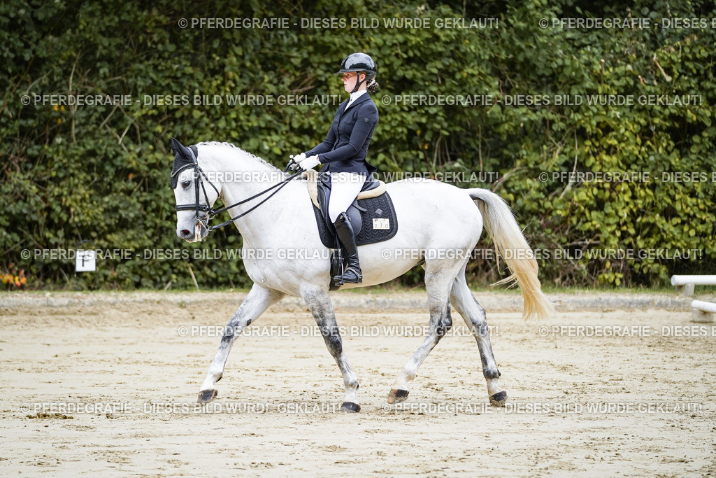 DSC08460 | Pferdegrafie