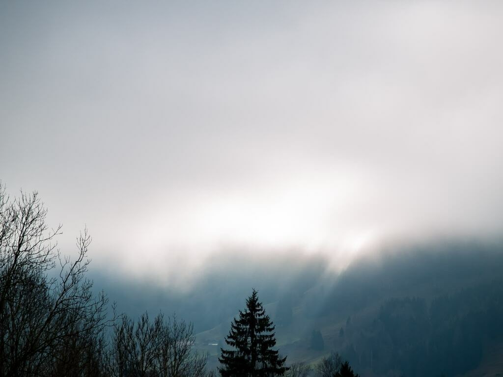 PSX_20230107_231029 | mtkfoto_ - Realisiert mit Pictrs.com