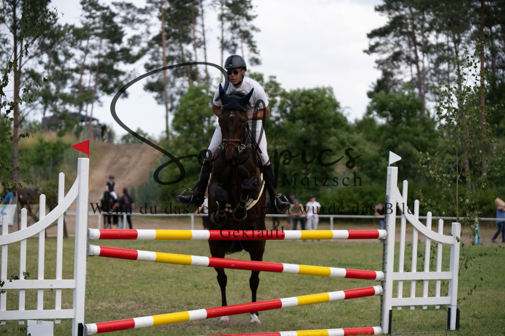 A7V07512 | Pferdefotograf