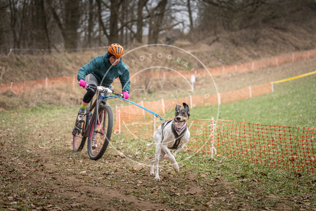 Pfotenfotografie_DV3A5089 | Hundefotografie, Tierfotograf, Pfotenfotografie, Fotoshooting Hund, Hunde Portrait, Hundesport, Hundeportraits, Heideshooting, Hunde, Sportfotograf, Hundefotograf, Turnierhundsport, THS,  - Realisiert mit Pictrs.com