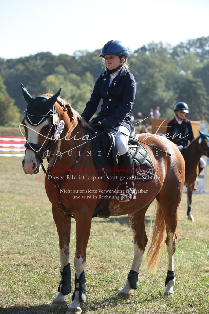 DSC_6163 | Pferde- und Turnierfotografie in Westsachsen. Pferdeportraits, Auftragszeichnungen und intuitive Kunst.