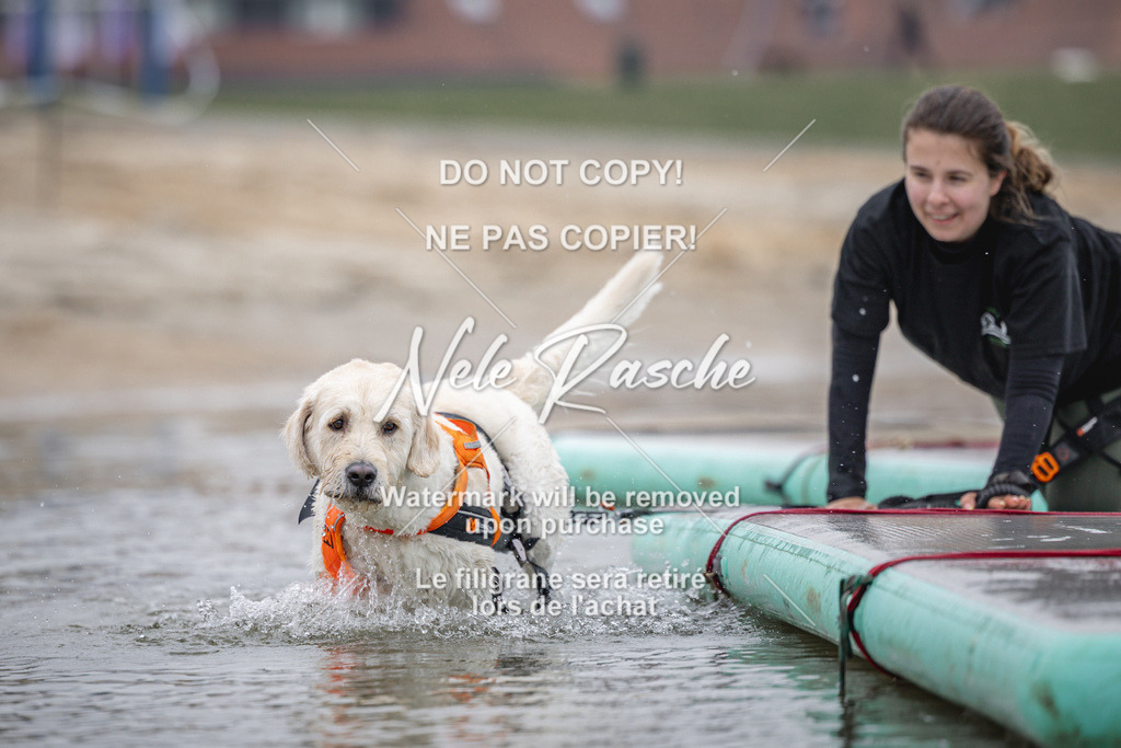 nelerasche_Hulsbeek_Sa1030-1100_696 | nelerasche