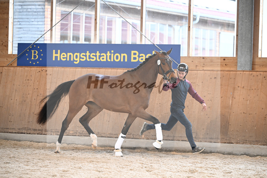 Kat-Nr. 80 Va Bella v. Va Bene_Rainer_5252161 | hf-fotografie - Realizzato con Pictrs.com