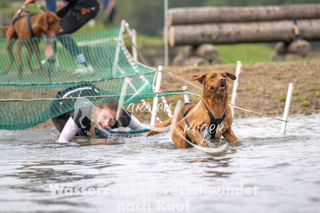 0916_ZZ94385 | kk-dogfotos