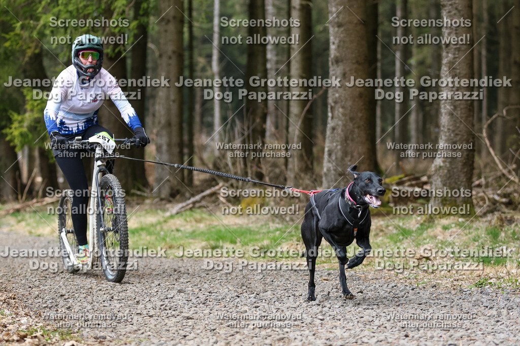 Dog Paparazzi - VCC26-538 | Dog Paparazzi Jeanette Grottendiek Fotografie & Videografie - Realisiert mit Pictrs.com