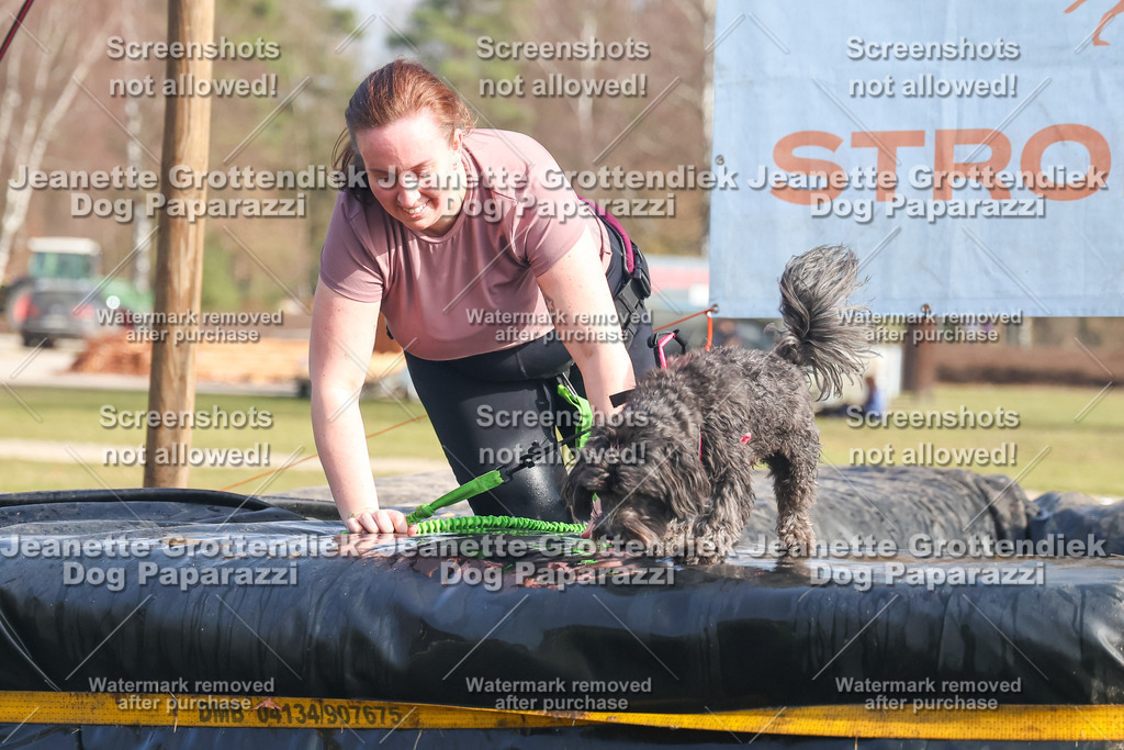 Dog Paparazzi - Strongdog North Mrz26-2166 | Dog Paparazzi Jeanette Grottendiek Fotografie & Videografie - Realisiert mit Pictrs.com