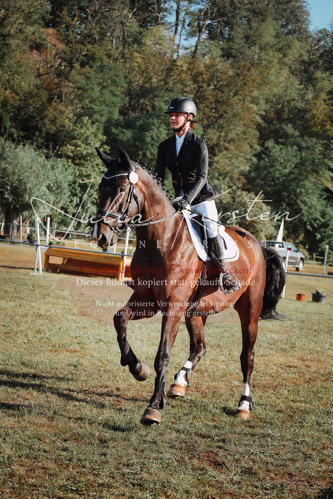 DSC_5150 | Pferde- und Turnierfotografie in Westsachsen. Pferdeportraits, Auftragszeichnungen und intuitive Kunst.