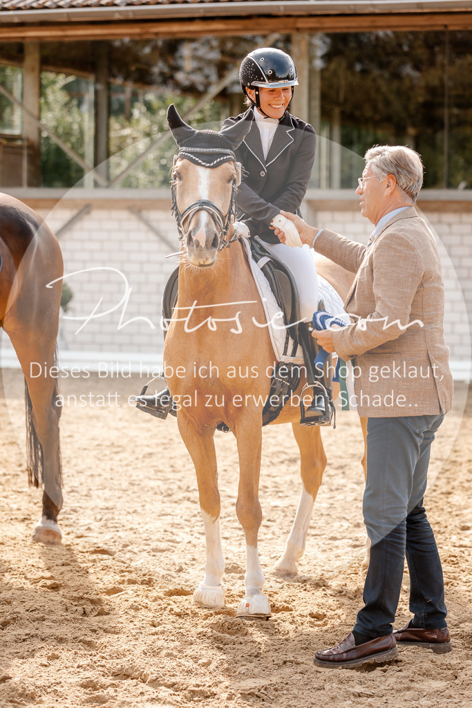 3I6A4521 | Stimmungsvolle Portraits und Reitsportfotografie im Ruhrgebiet und im Münsterland.

Pferdefotografie, Hundefotografie, Tierfotografie, Reportagen, Portraits von Tier und Mensch, Turnierfotografie in Bochum, Recklinghausen, Marl, Haltern am See, Dülmen.. - Realisiert mit Pictrs.com