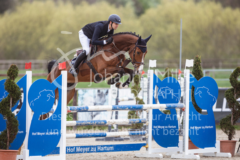 250417_Springpferde-L1-256 | Deine schönsten Turniermomente als professionelle Fotos! Entdecke hochwertige Pferdesport-Fotografie im Online-Shop. Jetzt Fotos finden & bestellen!