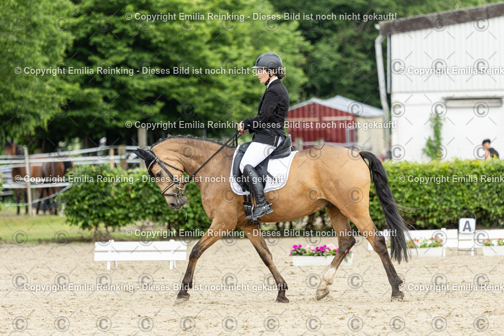 CL5A1170 | Emilia Reinking Fotografie - Realisiert mit Pictrs.com