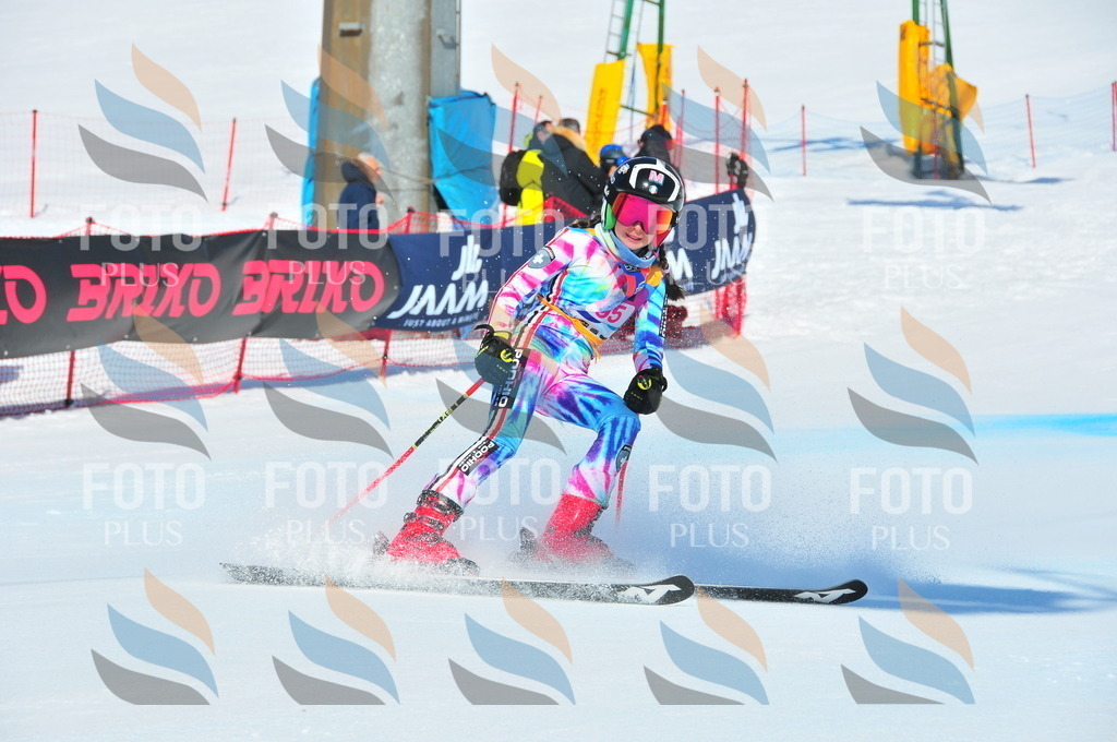 DSC_4548 | holidayphoto